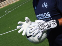 3 ND Gloves ND White Tera PRO