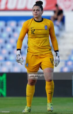 6 ND Gloves ND White Tera PRO